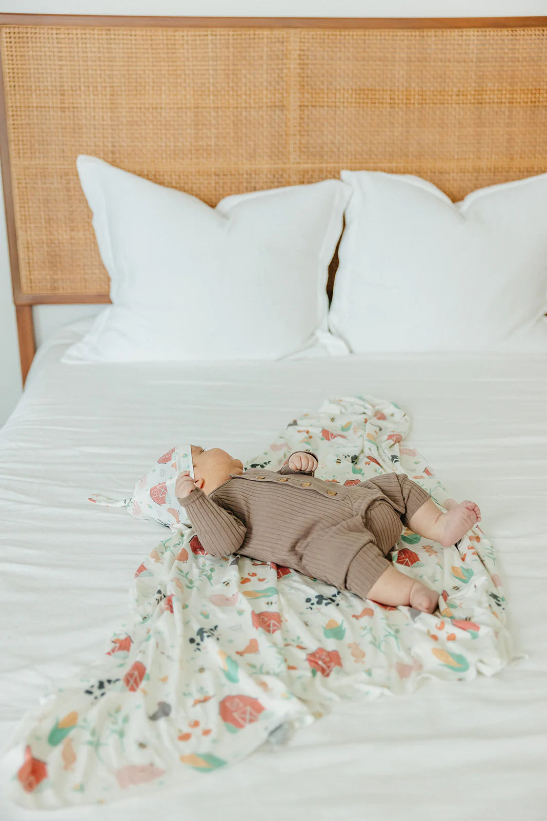 Farmstand Knit Blanket Single