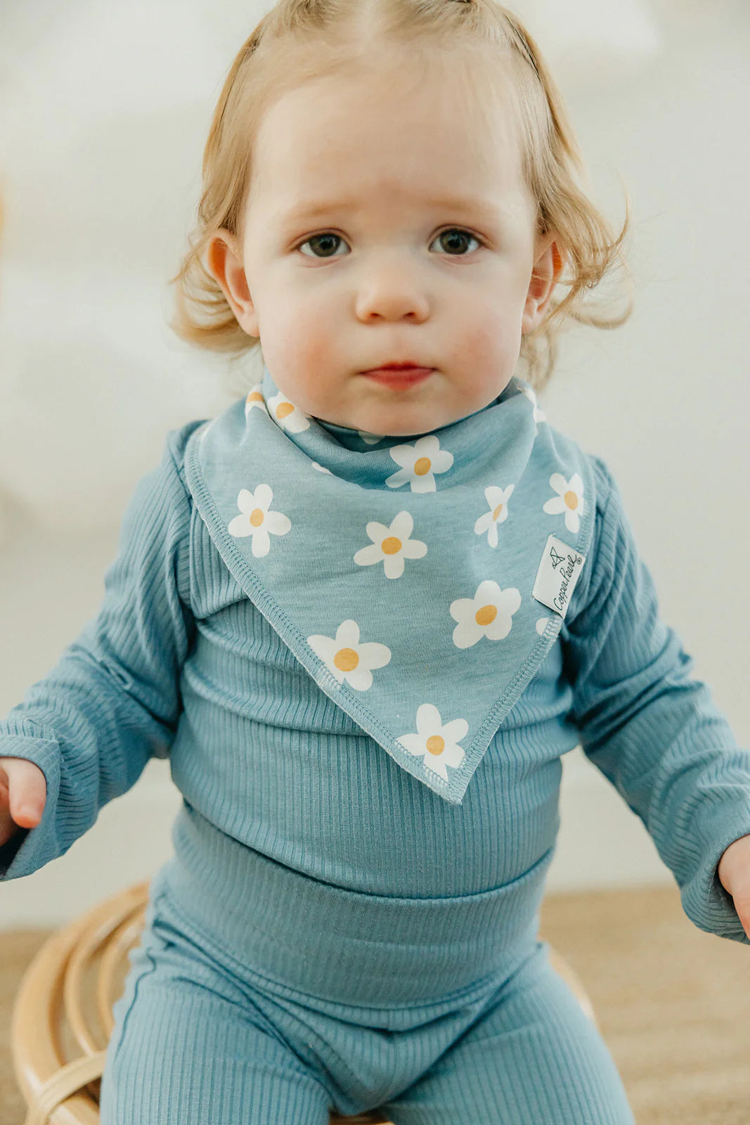 Goosie Baby Bandana Bib Set (4-pack)