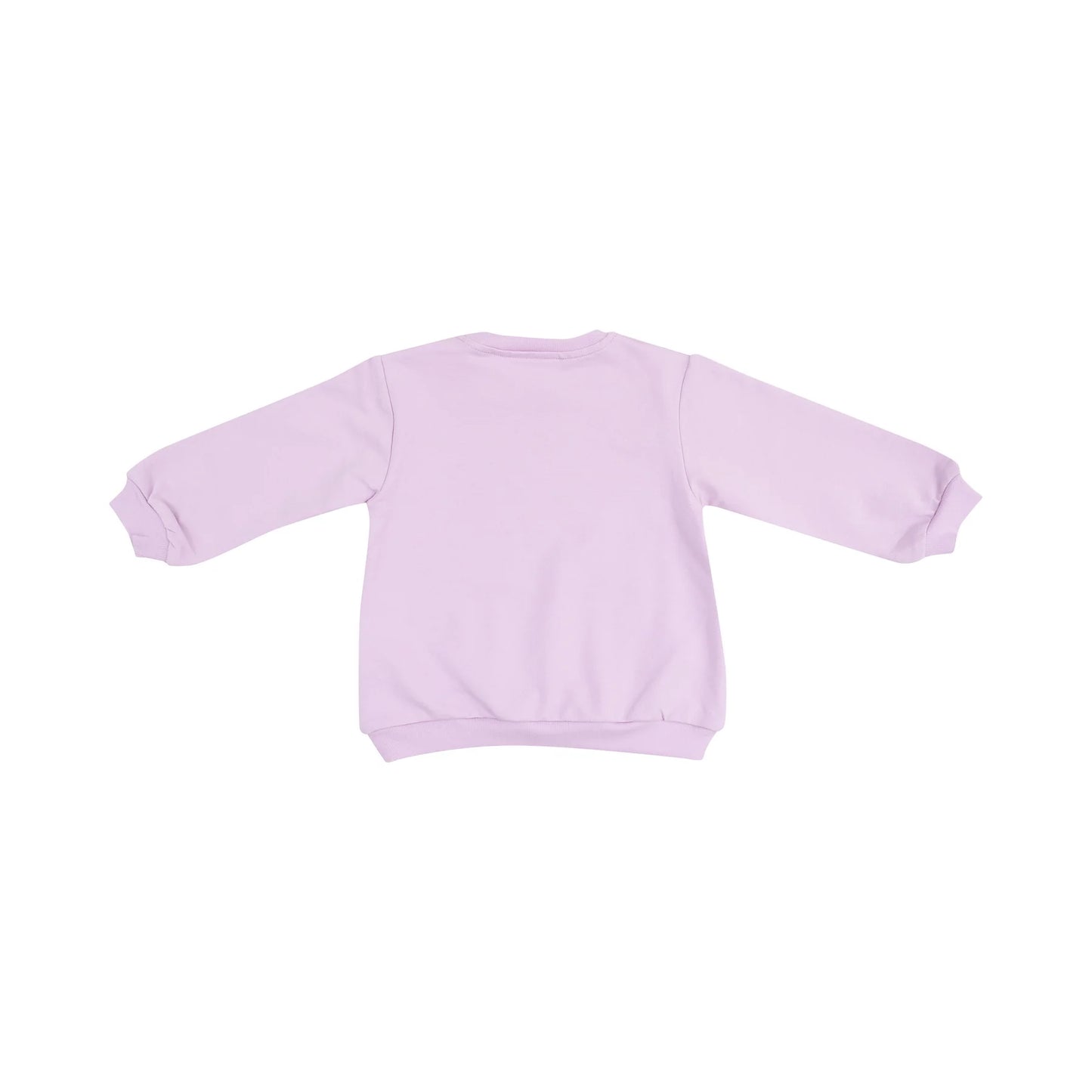 Monarch Butterflies And Milkweed Oversize Sweatshirt W/ Applique