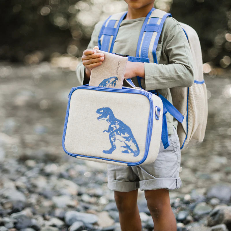 Dino Lunch Box