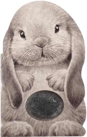 Funny Bunny: A Mini Touch and Feel Book