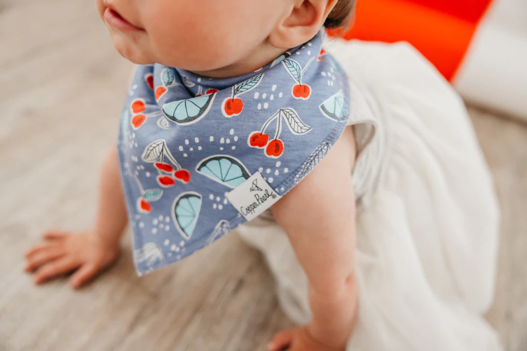 Liberty Baby Bandana Bib Set (4-pack)
