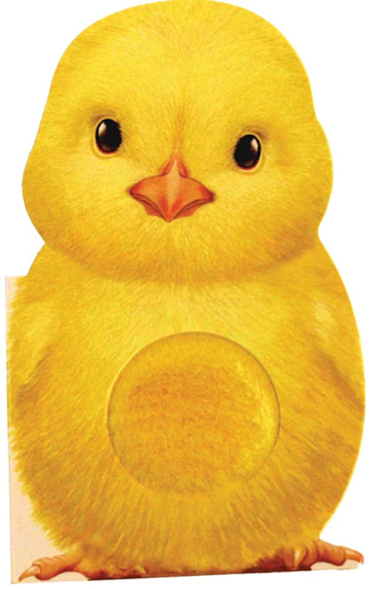 Furry Chick (Touch & Feel Book)