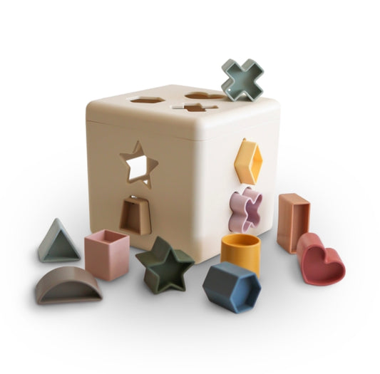 Shape Sorting Box