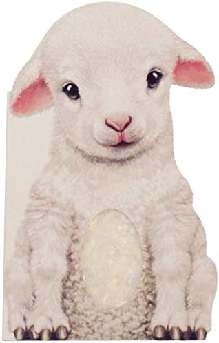 Furry Lamb: A Mini Touch and Feel Book